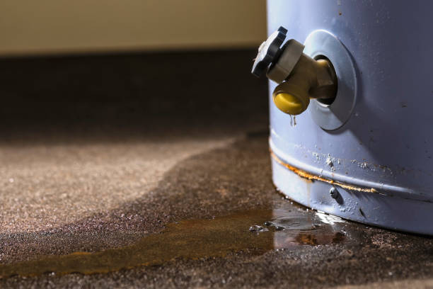 Best Water damage restoration cost  in Old Westbury, NY