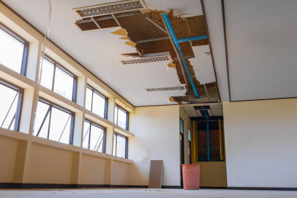 Best Carpet water damage restoration  in Old Westbury, NY