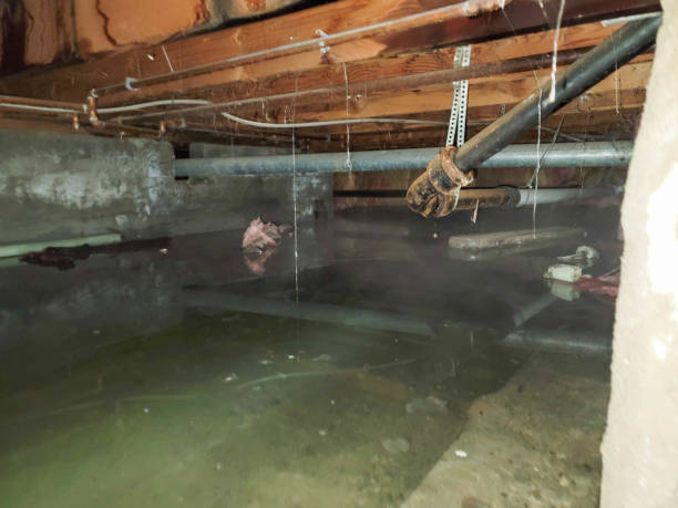 Best Commercial water damage restoration  in Old Westbury, NY