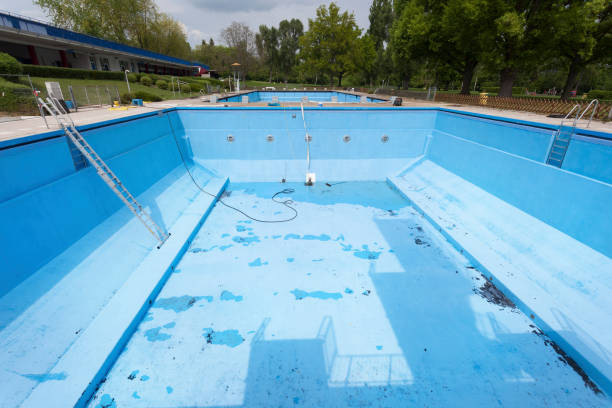 Best Mold removal after water damage  in Old Westbury, NY