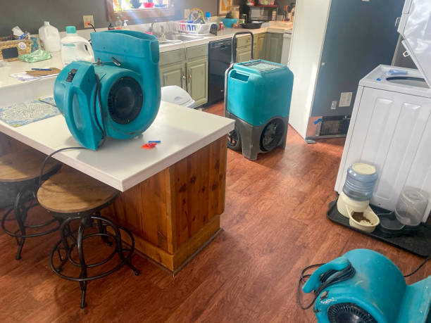 Best Commercial water damage restoration  in Old Westbury, NY