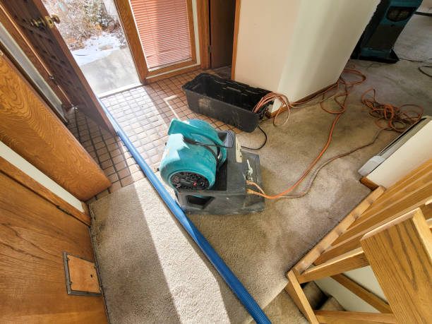 Best Water damage restoration near me  in Old Westbury, NY