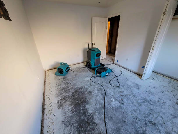 Carpet water damage restoration in Old Westbury, NY