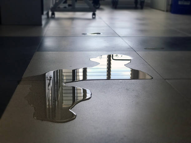 Best Professional water damage repair  in Old Westbury, NY