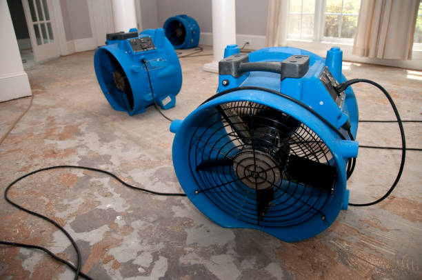 Best 24-hour water damage restoration  in Old Westbury, NY