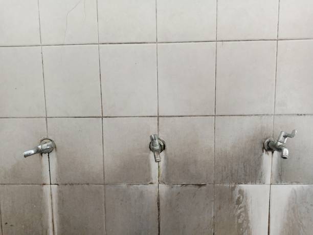 Best Sewage cleanup and water damage restoration  in Old Westbury, NY