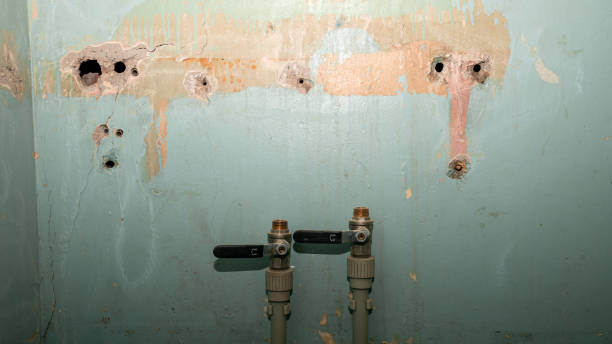 Best Water damage contractors near me  in Old Westbury, NY
