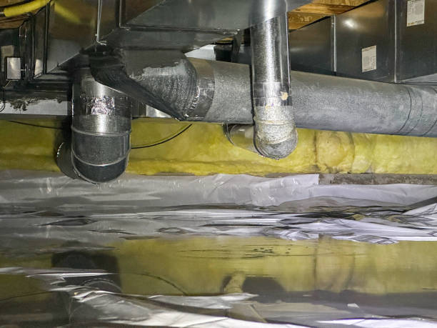 Best Water damage restoration near me  in Old Westbury, NY