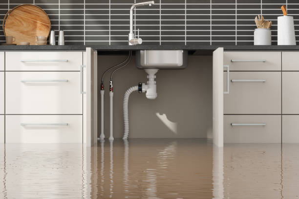 Best 24-hour water damage restoration  in Old Westbury, NY