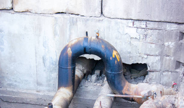 Best Flood damage cleanup  in Old Westbury, NY