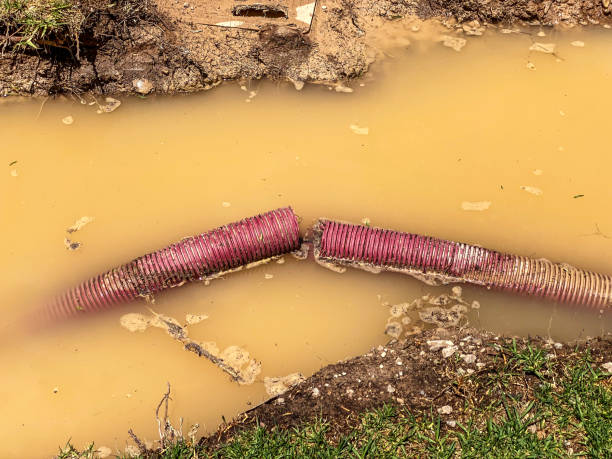 Best Emergency water damage restoration  in Old Westbury, NY